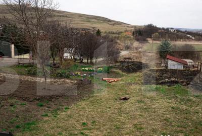 Teren în Borhanci - 3