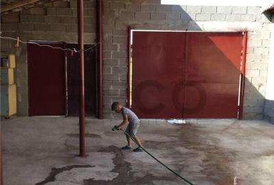 Casă cu 3 camere cu Teren 1900 Mp în Finiș - 6