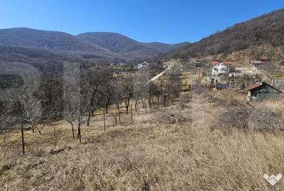 Teren de 1550 mp, în Cetate - 2
