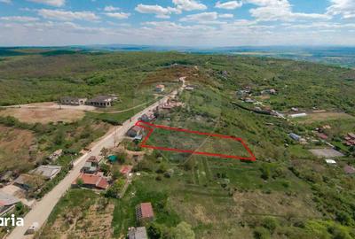 Teren de 3201 mp, în Paleu - 5
