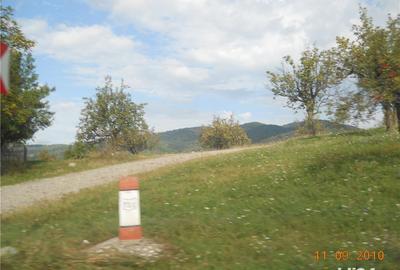 Teren de 55000 mp, în Slănic - 5
