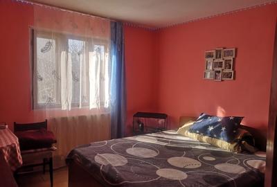 Casă individuală cu 3 camere cu Teren 500 Mp în Ciurea - 6