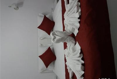 Apartament cu 2 camere decomandat în Sinaia - 4