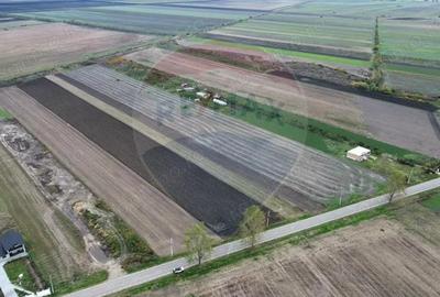 Teren intravilan 10869mp Mircestii Vechi / DJ 204E - 4