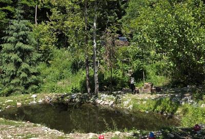 Teren de 8000 mp, în Bologa - 4