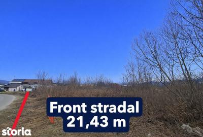 Teren de 4797 mp, în Bujoreni