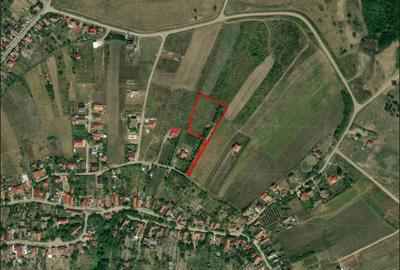 Teren de 5000 mp, în Săldăbagiu de Munte - 1