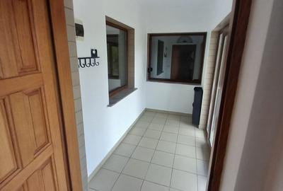 CASA CU TEREN GENEROS IN GRUIU - 33