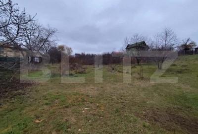 Teren intravilan 2618 mp IASI- Strugurilor Teren intravilan 2618 mp IASI- Strugurilor - 1