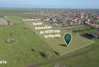 Teren de 16157 mp, în Pișchia - 3