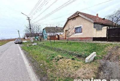 Cota 1/2 casa si teren Pustini?, jud. Timi?-id R1992745 - 4