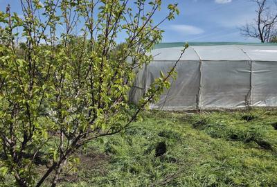 Teren agricol intravilan de 2050 mp, în Valea Măcrișului - 4