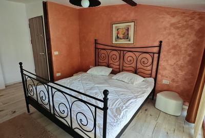 Casă individuală cu 10 camere cu Canalizare în Calea București - 3