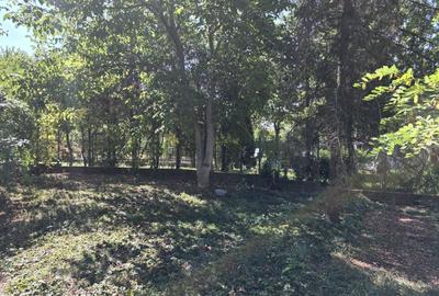Vanzare teren cu deschidere la lac, zona Ciofliceni - Sangov. Vanzare teren cu deschidere la lac, zona Ciofliceni - Sangov. - 4
