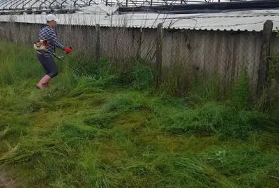 Casa Ungaria in localitatea Hencida Casa Ungaria in localitatea Hencida - 2