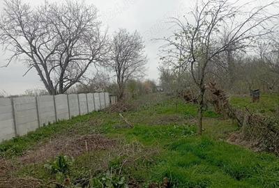 Orasul Calarasi - Vand casa + 1000 mp intravilan - 7