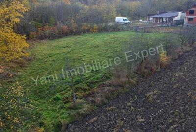 Teren de vanzare in comuna Meri?ani, sat Valcelele, jude? Arge?. - 5