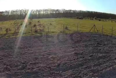 Teren în Păușa - 1