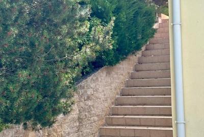 Casă individuală cu 5 camere cu Teren 10000 Mp în Ghioroc - 30