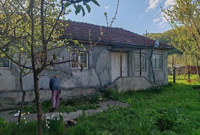 Casă cu Teren 5000 Mp în Unguriu - 8