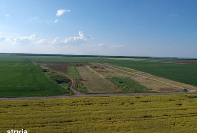 Teren de 4750 mp, în Vasilați - 5