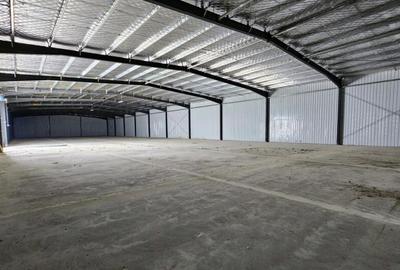 Hale Industriale | DN2 | Afumati-Doraly Expo - 2