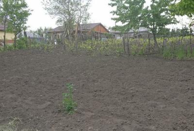 Casa batraneasca cu teren Romanesti, Iasi - 4