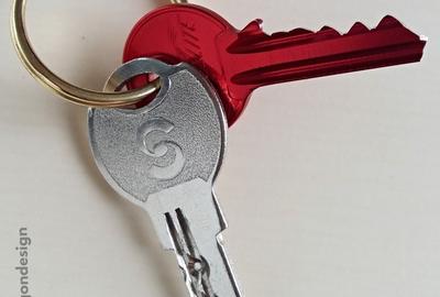 Titan, Bd. Theodor Pallady, Ozana, 5 minute de M. 1 Decembrie 1918, ocazie - 1