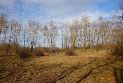 Teren de 1771 mp, în Exterior Vest - 2