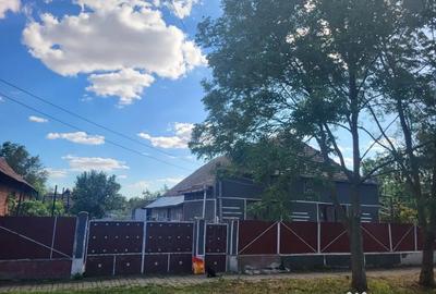 Casă cu 4 camere în Banloc