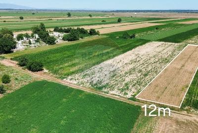 Teren de 1391 mp, în Biliești - 1