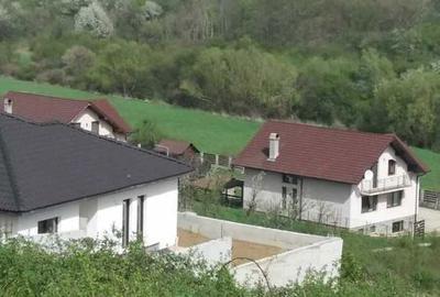 Teren de 1000 mp, în Paleu - 1