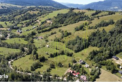 Teren de 17940 mp, în Vama - 8