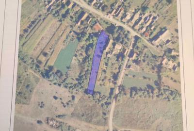 Teren de 2456 mp, în Tămășeu - 2