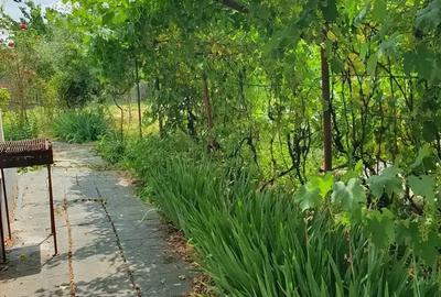 Casa batraneasca paianta - 3