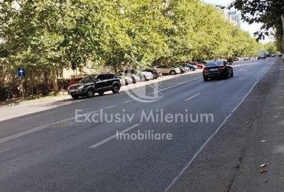 Birou, de 40 mp, în Timpuri Noi - 7