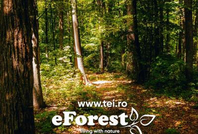 Teren Construcții intravilan de 800 mp, în Cocani - 1