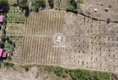 Teren de 6800 mp, în Mogoșești - 6