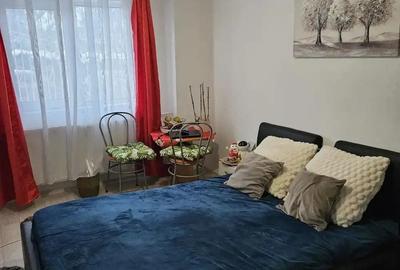 CI617 Telegrafului-Lorena,1 camera,Renovata - 9