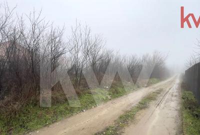 Teren Construcții intravilan de 949 mp, în Malu Mare - 5