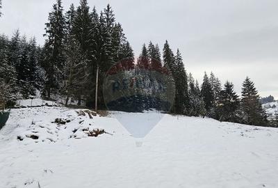 Teren in Bucovina, intravilan 3824 mp Deia-Frumosu, Suceava - 9