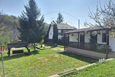 CASA DE VACANTA - UN MIC COLT DE RAI , STEFANESTI, ARGES CASA DE VACANTA - UN MIC COLT DE RAI , STEFANESTI, ARGES - 13