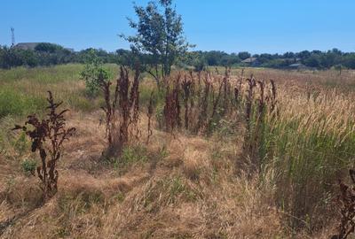 Teren linga strada Ciresilor - 2