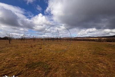 Casă cu 5 camere cu Teren 7000 Mp în Josenii Bârgăului - 12