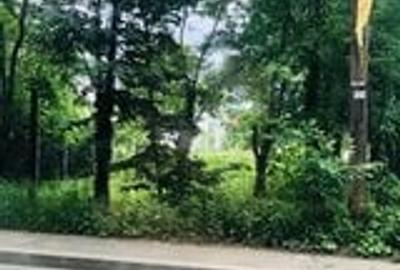 Teren Construcții intravilan de 600 mp, în Băneasa - 2