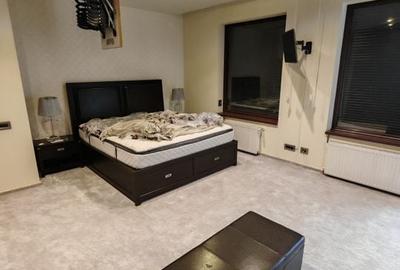 Penthouse Herastrau - 11