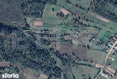 Teren de 13103 mp, în Călățele - 3