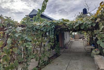 Vand casa piatra olt - 2