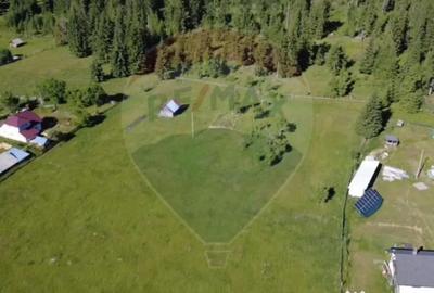 Teren de 9685 mp, în Neagra - 5