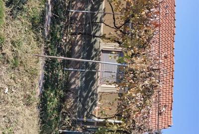 Casă cu Teren 3400 Mp în Susag - 1